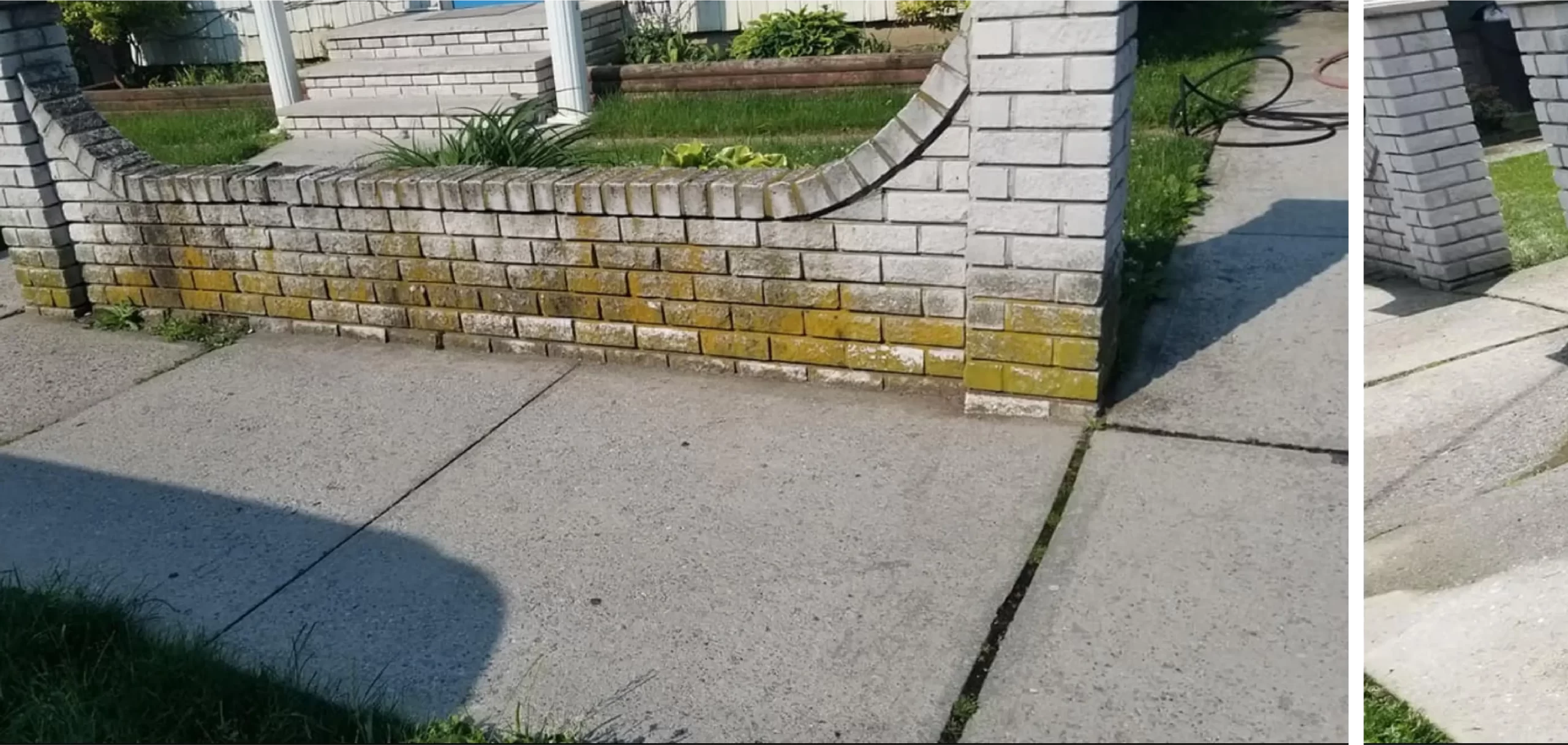 Before and after: a brick wall with green moss growing on it.